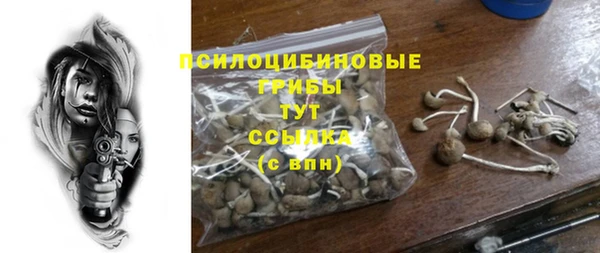 соль курить ск Алзамай